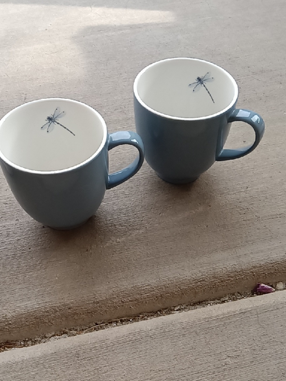 Set of 2 Blue Ceramic Mugs with Dragonfly Accent